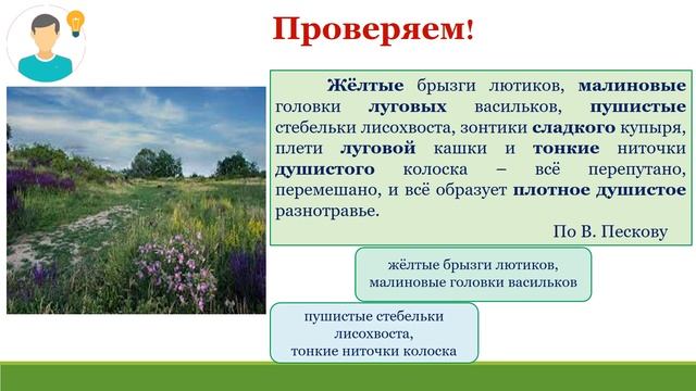 Тема 34. Употребление именных частей речи в тексте смотреть онлайн