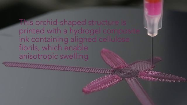 4D Printing: Shapeshifting Architecture