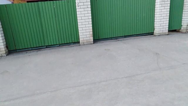 Показываю каких собак держат у нас в частном секторе смотреть онлайн