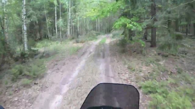 KTM 990 Adventure Поездка по Рязанской области 270 км . смотреть онлайн