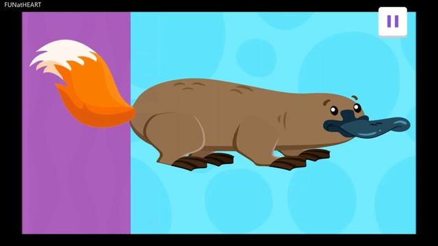 ? Bubble Guppies: Learn About Australia! (Play Along Games) #bubbleguppies #nickjr