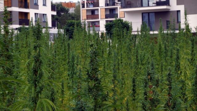 SAM DRUM - Drum N Bass Mix