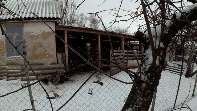 Народный праздник «Герасим Грачевник» 17 марта. Что нельзя делать в этот день. смотреть онлайн