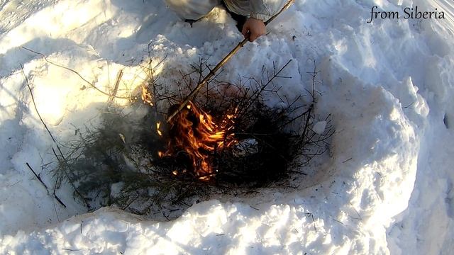Охота на рябчика зимой 2018. Вылет рябчика из снега. Пропуделял... Поход в зимний лес. смотреть онлайн