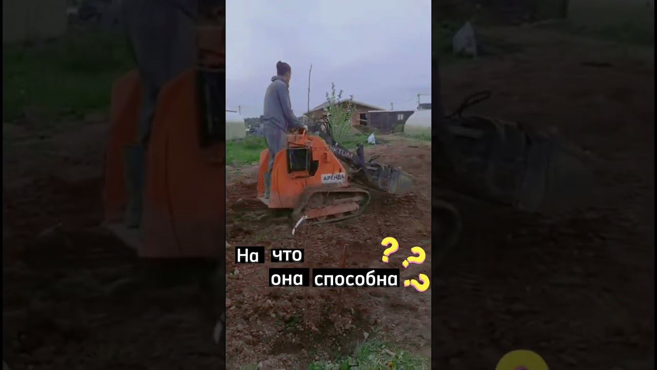 Возможности микро-погрузчика. Диктум отзыв смотреть онлайн