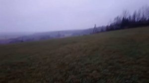 Путы для лошади. Приучаем. Смотрим, как далеко можно в путах уйти.