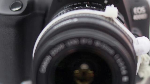 Best Camera for Professional Photography in 2021 [Best Camera for Photography] смотреть онлайн