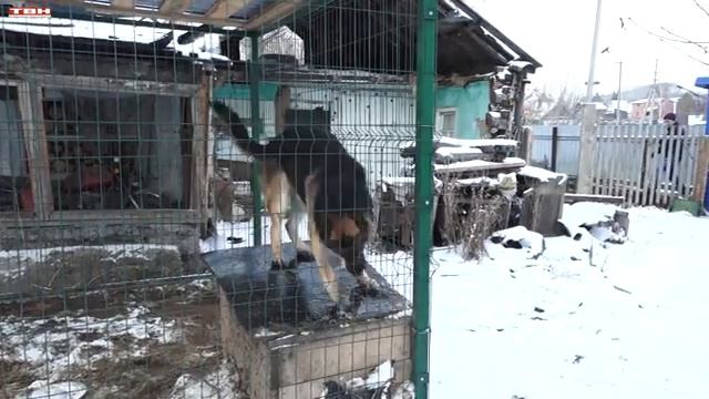 Сегодня День волонтёра. смотреть онлайн