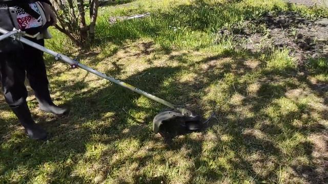 Бензотриммер ECHO SRM-22GES. Отзыв от женщины. Лучшая бензокоса, удобная и легкая. смотреть онлайн