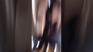 как сливать масло с редуктора мотоблока Урал умз-5в