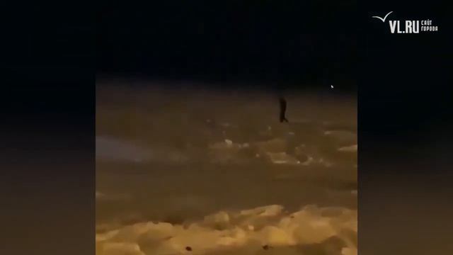 VL.ru - водитель Prius убежал от полиции по льду смотреть онлайн