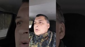 Усыпление и транспортировка дикого кабана