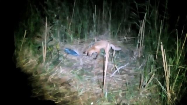 Рыбалка на фидер на озере малое Угрюмое смотреть онлайн