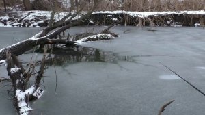 Ловля карася на поплавок зимой...