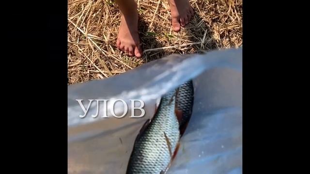 Каникулы на даче. Как сдать медь и плавить олово. / Vacation смотреть онлайн