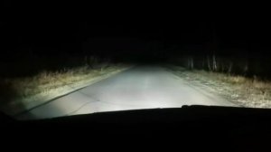 Nissan Primera P12 + светодиодные противотуманные фары