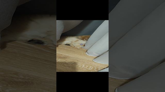 Любимая резинка Маси