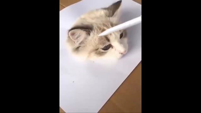 Приколы с животными до слез 2020-2021/ Смешные животные и их хозяева 2020-2021 смотреть онлайн