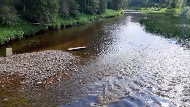 Лесная речка смотреть онлайн