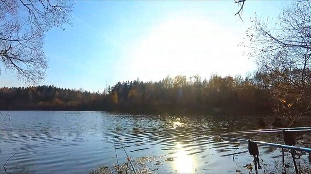 Осенний лещ на маховую удочку.Рыбалка на реке. смотреть онлайн