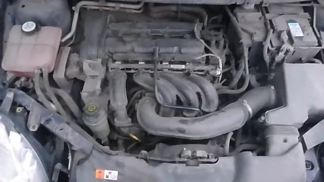 Двигатель Ford для Focus II 2008-2011 смотреть онлайн