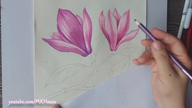 Pink magnolia flower drawn with colored pencils - How to draw realistic flowers with colored pencil смотреть онлайн