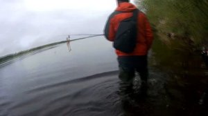 Ловля судака на джиг с берега весной.Рыбалка на спиннинг.