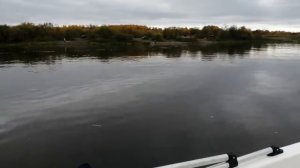 лодка Кайман 400 на моторе 9.9
