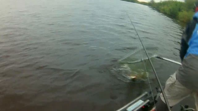 Щука  4 кг на джиг