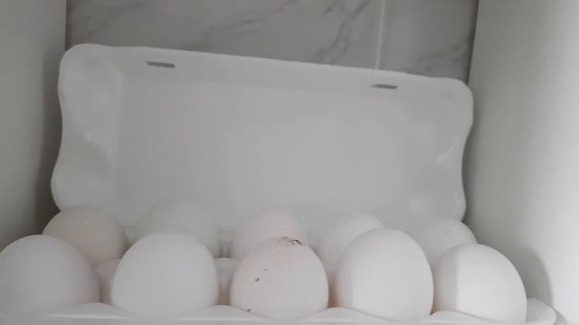 Не покупайте комбикорм для кур! Нет ничего лучше чем корм для кур своими руками! смотреть онлайн
