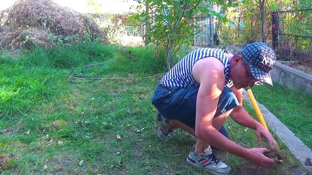 1 Видно золото и видно серебро (2).mp4 смотреть онлайн
