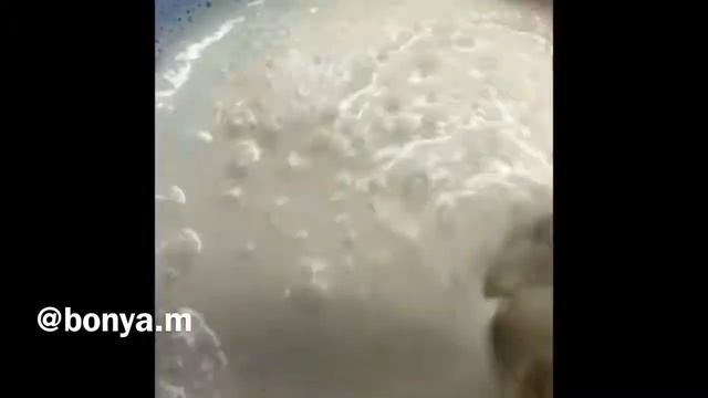 Сырные блинчики, вкус просто ? смотреть онлайн