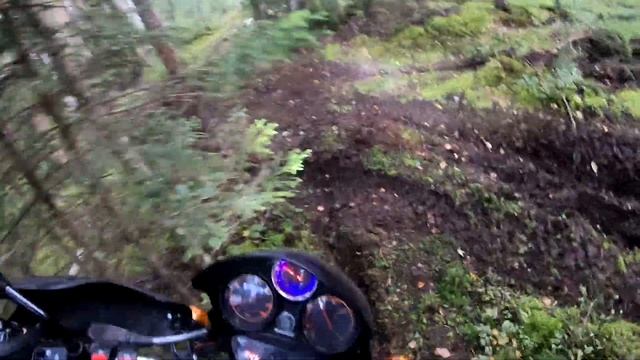 Езда на Bajaj Boxer BM150X по полному бездорожью. Там ездят только на квадроциклах. Смог ли боксёр? смотреть онлайн