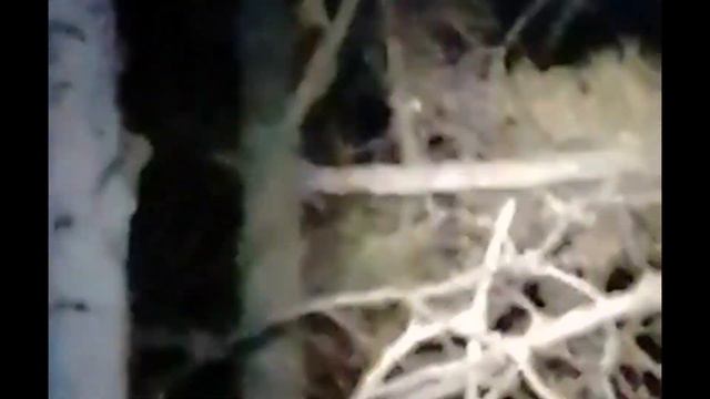 Промысел с ЗСЛ!!! смотреть онлайн