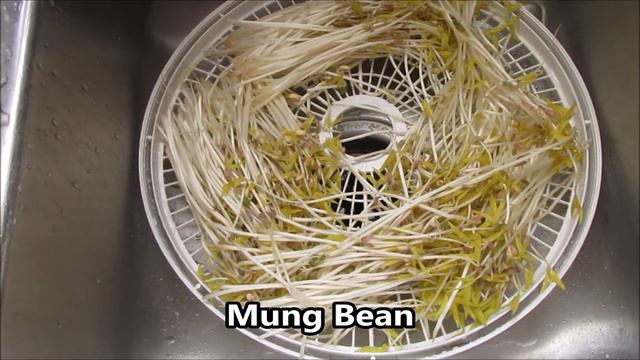 How to Grow Microgreens & Make a Multi-Micro Blended Salt смотреть онлайн