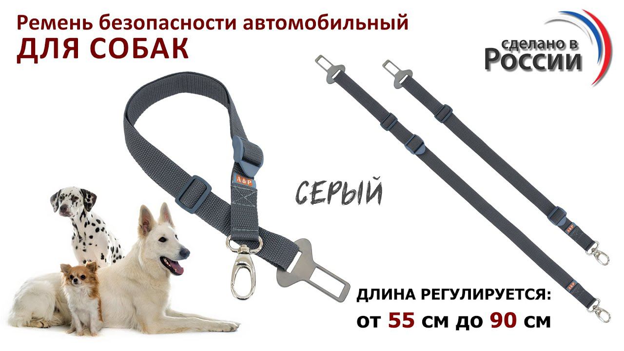 Ремень безопасности для собак в автомобиль, цвет серый. Промо-ролик.