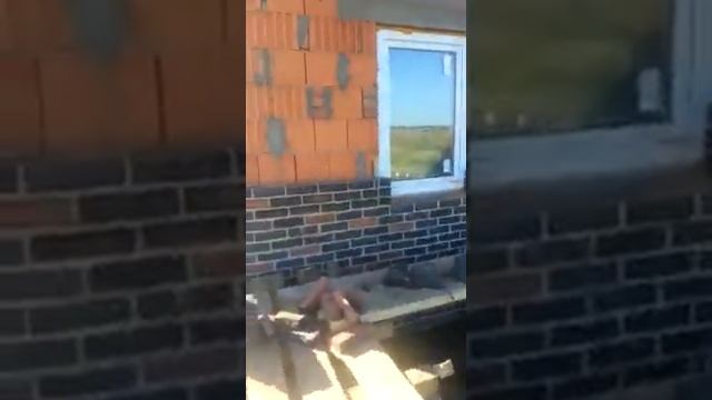 Начало облицовки 30000 штук кирпича распилили пополам смотреть онлайн