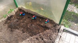 Капельный полив из еврокуба