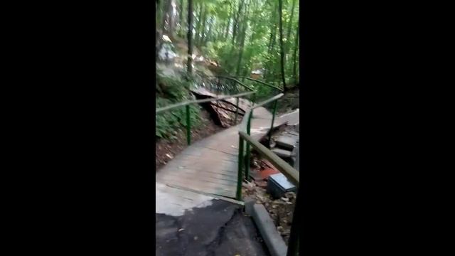 Святые источники Дивеева Источник 12 апостолов смотреть онлайн