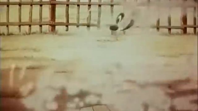 skazka starogo duba смотреть онлайн