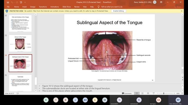 CH 10 & 24 Landmarks of the Face and Oral Cavity/ Dental Unit Waterlines смотреть онлайн