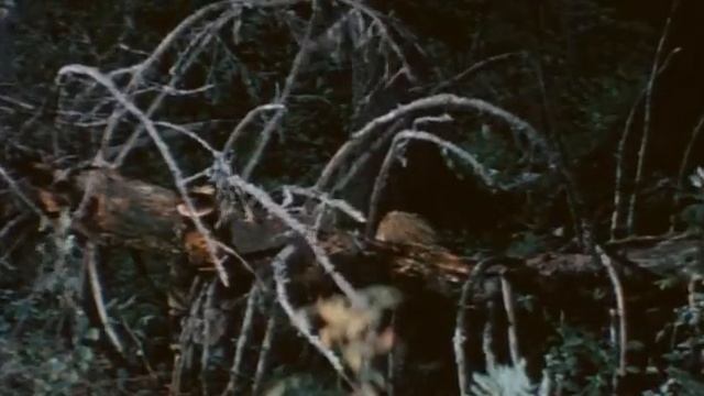 Подарок черного колдуна. 1978 год. смотреть онлайн