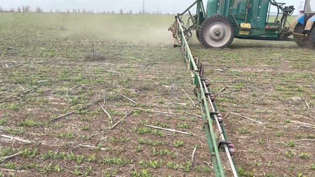 Ого!!!Зимующий горох защищаем от сорняков. смотреть онлайн