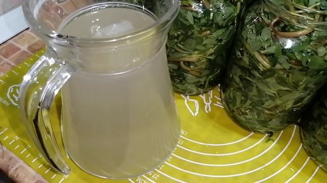 РЕЦЕПТ ЗАСОЛКИ ХРУСТЯЩЕГО ПОРТУЛАКА, ТАКЖЕ МОЖНО СОЛИТЬ ОГУРЦЫ И ПОМИДОРЫ! ПРОСТО И ПОЛЕЗНО! смотреть онлайн