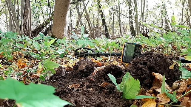 КРИЧАЛ, ПЛЯСАЛ КОГДА УВИДЕЛ ЭТИ НАХОДКИ. смотреть онлайн