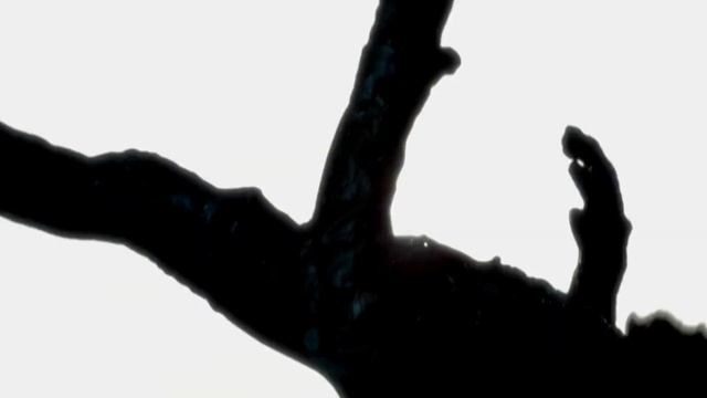 Ghost Rider - Light 'Em Up [Fall Out Boy] | TGC смотреть онлайн