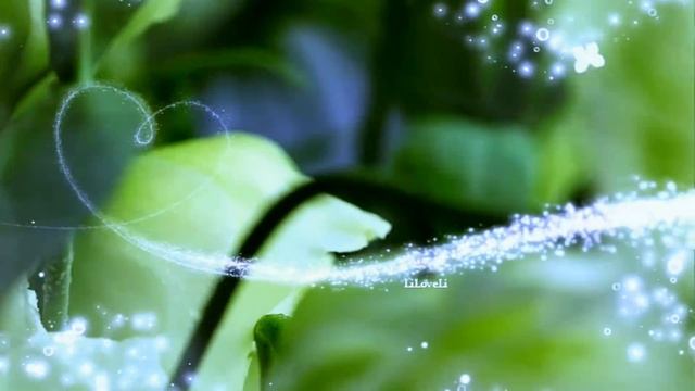 Dominique Moisan - Million de Roses rouge смотреть онлайн