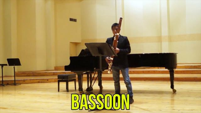 Woodwind Instruments For Children - Woodwind Instruments Sounds And Demonstration | Woodwind Family