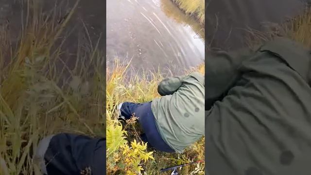 Творчество и Техники