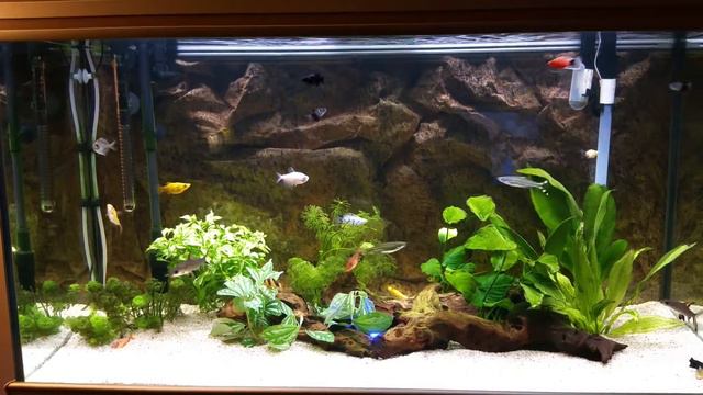 Acuario aquatlantis смотреть онлайн